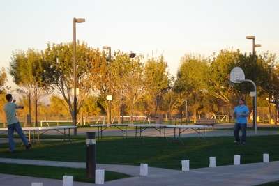 Two Guys Hanging out near a Basketball Court